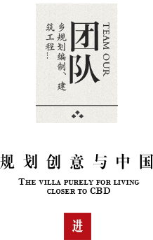 团队